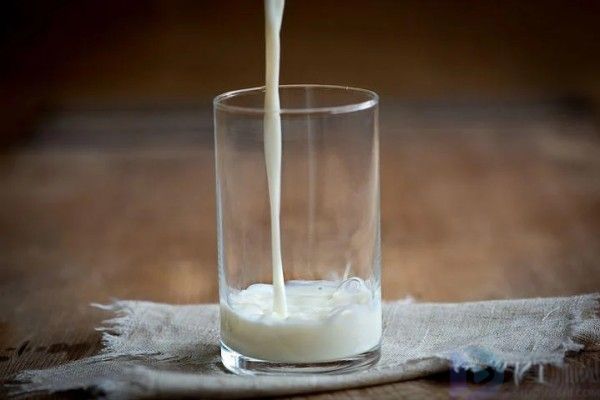 牛奶炖蛋的功效与作用