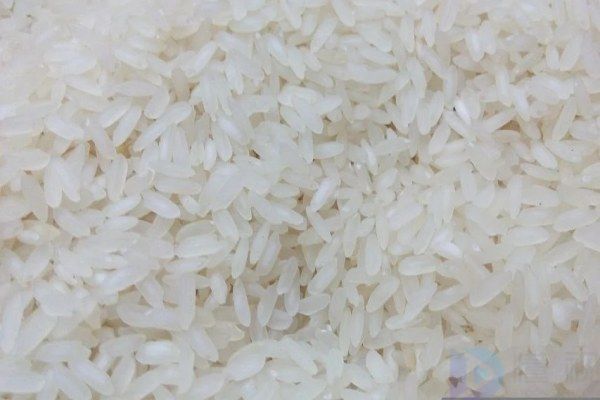 有机大米和普通大米
