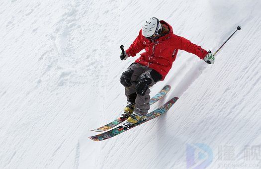 滑雪的板子类型